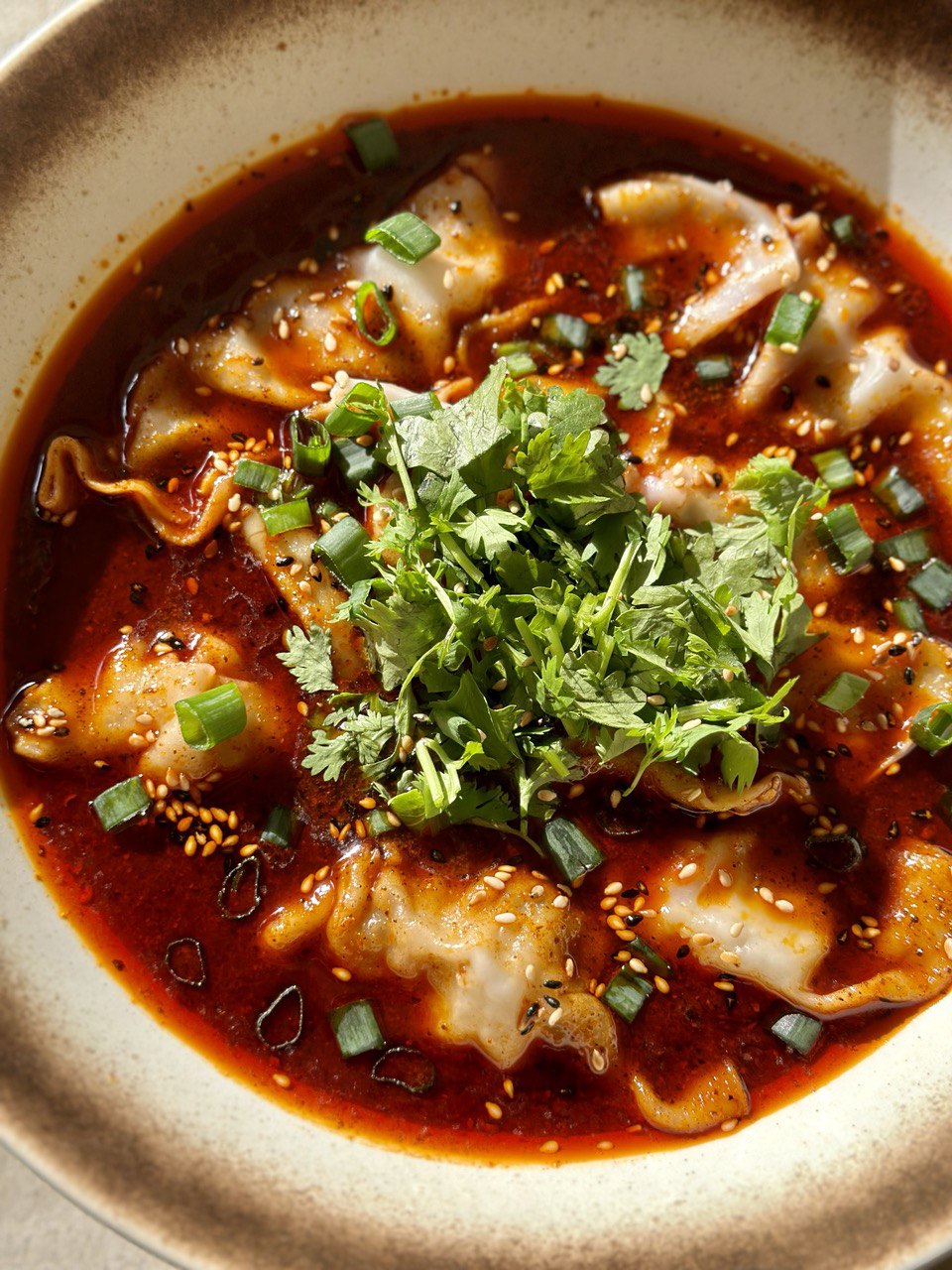 Spicy Szechuan Dumpling Soup • The Candid Cooks