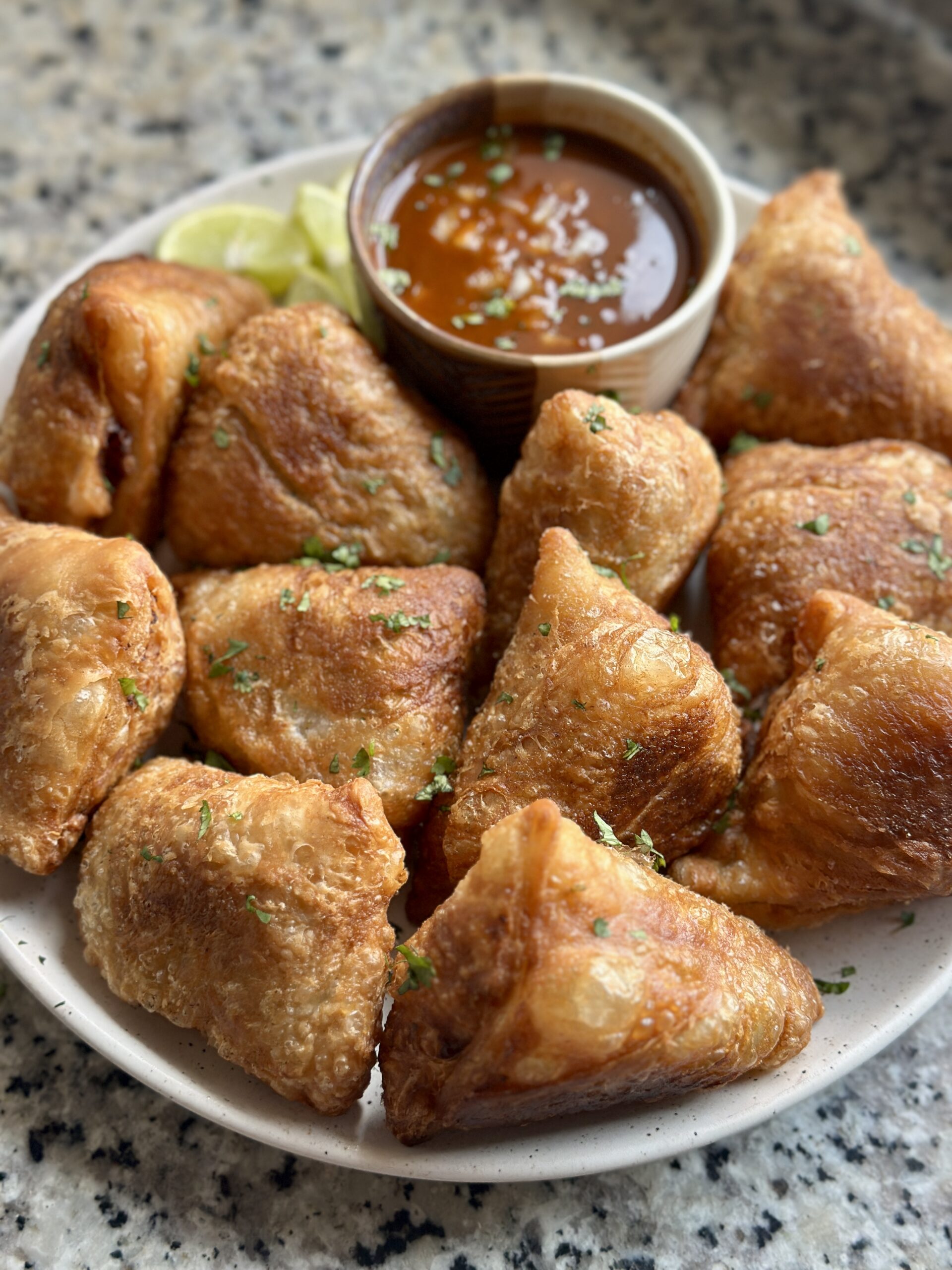 Vegan Birria Samosas