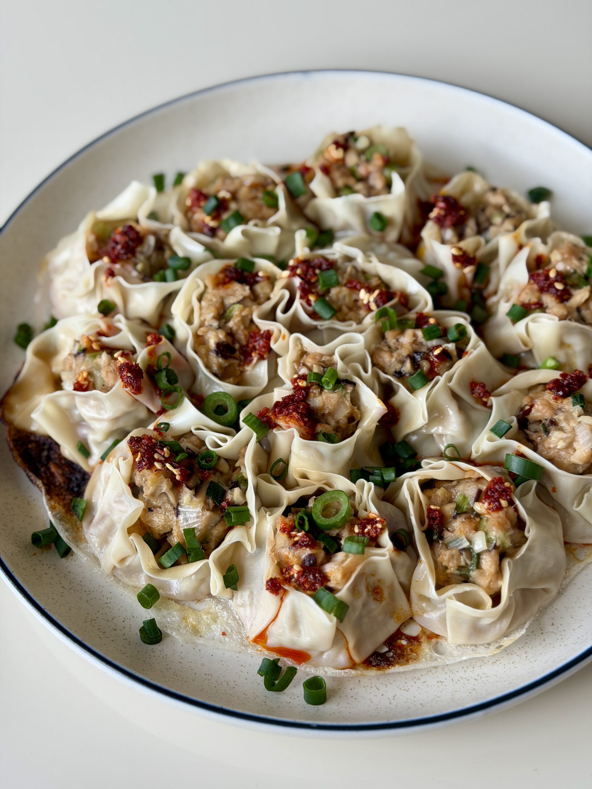 Vegan Pan Fried Dumplings